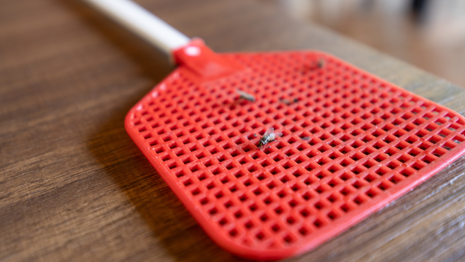 a red fly swatter with flies on it resting on a table