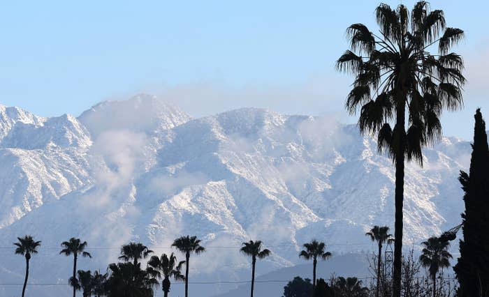 A group of mountains covered in snow with palm trees in the foreground