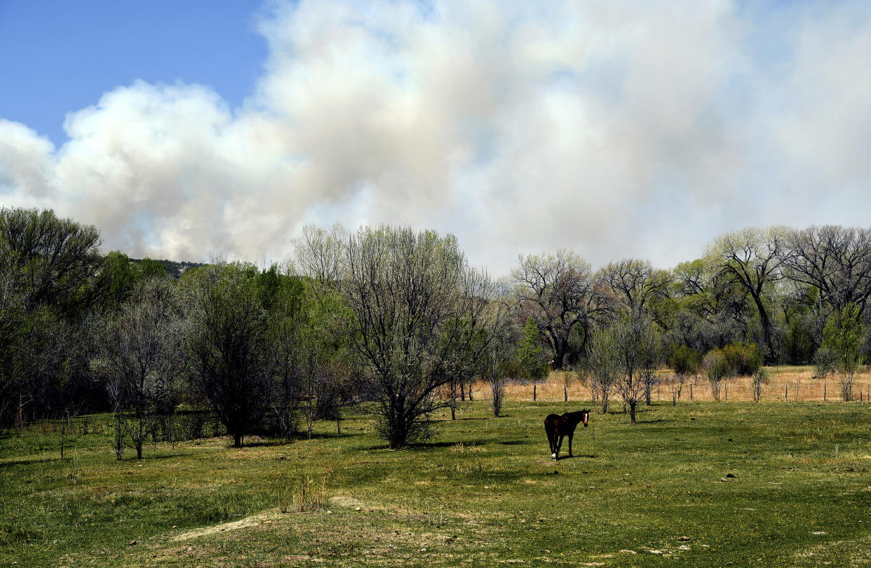 A horse grazes in front of a plume of wildfire smoke in Las Vegas, N.M., on Tuesday, May 3, 2022. New Mexico was in the bull's eye for the nation's latest wave of hot, dry and windy weather. (AP Photo/Thomas Peipert)