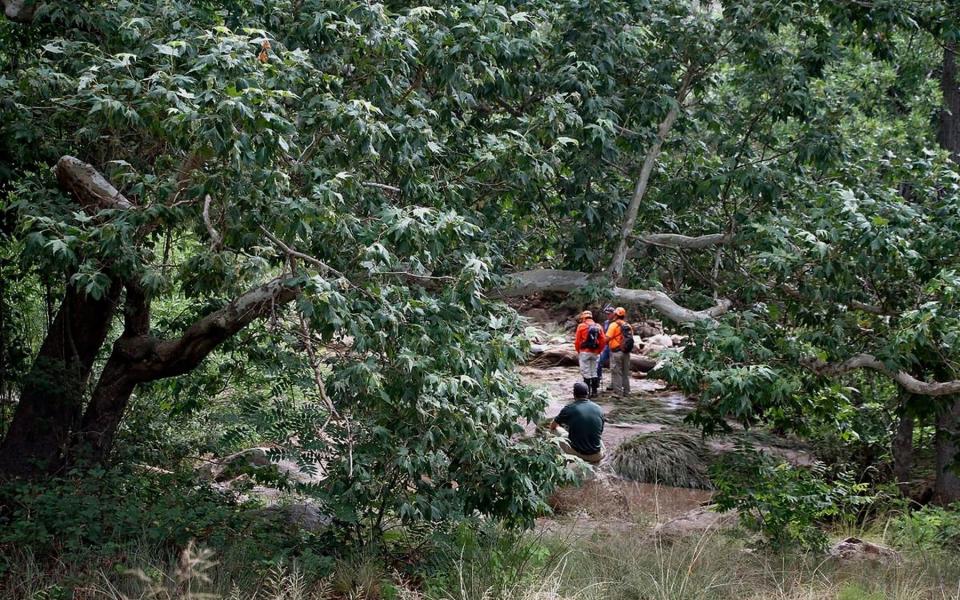 Tonto Search and Rescue volunteers search for missing swimmers near the Water Wheel Campground  - Credit: AP