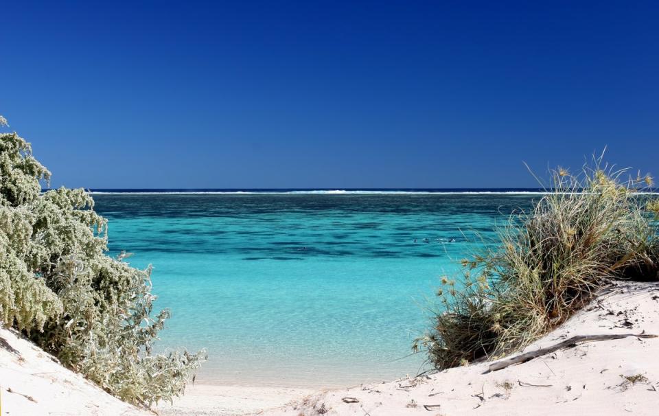 Swap the popular Great Barrier Reef for its quiet and crystalline west-coast sister (Getty Images/iStockphoto)