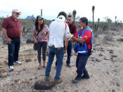 <p>BAJA CALIFORNIA SUR (MÉXICO), 14/02/2018.- Socorristas atienden a los ocupantes de uno de los vehículos que formaba parte de la caravana de la aspirante presidencial indígena Marichuy hoy, miércoles 14 de febrero de 2018, tras un accidente en el tramo carretero entre San Ignacio y Vizcaíno, en el estado de Baja California Sur (México). La aspirante presidencial indígena María de Jesús Patricio, conocida como Marichuy, resultó herida y otra persona falleció hoy al sufrir un accidente la camioneta en que viajaban en el estado mexicano de Baja California Sur, informó el Congreso Nacional Indígena (CNI). El reporte indica que a bordo de la camioneta viajaban 11 miembros del Concejo Indígena de Gobierno (CIG), constituido en mayo de 2017 por el CNI para participar en el proceso electoral de 2018. EFE/ Manuel Pérez </p>