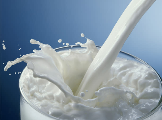 ¿Por qué no es recomendable beber leche de vaca?