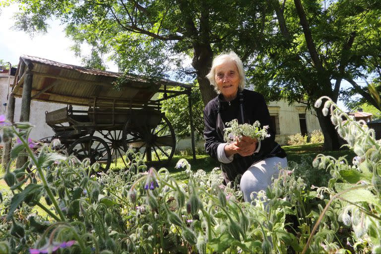 Camino a la costa: el restaurante de pastas donde cocina una italiana de 84 años que se volvió de culto
