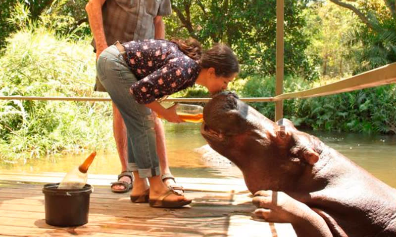 Salma Hayek quiso darle un beso a este animal/ Salma Hayek/Youtube