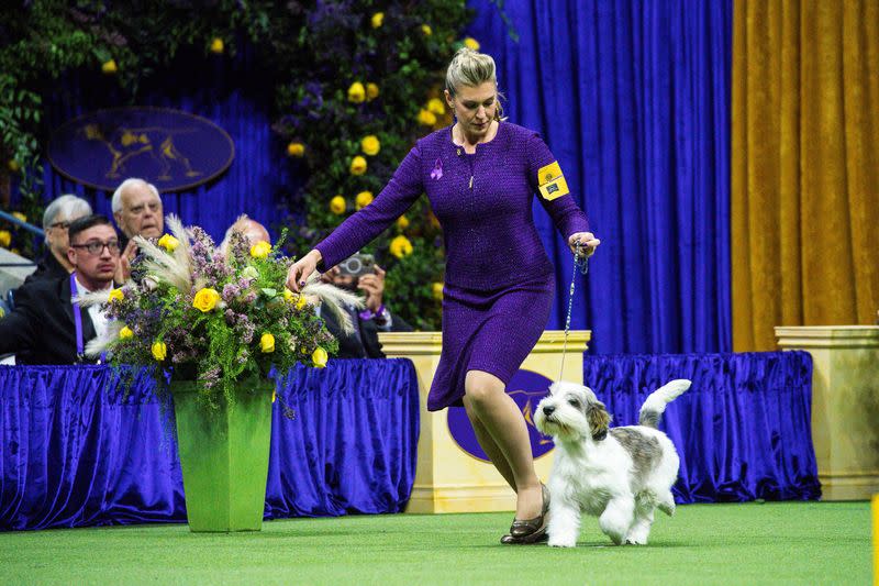 147th Westminster Kennel Club Dog Show at the USTA Billie Jean King National Tennis Center in New York