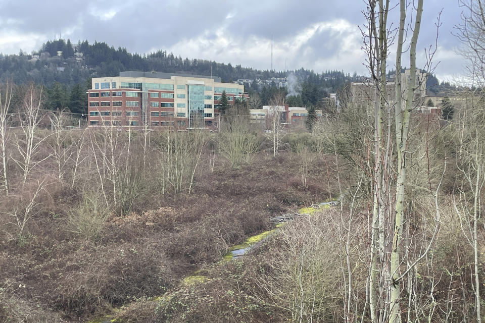 A sprawling hospital complex in the Cedar Hills neighborhood of southwest Portland, Ore., is seen from a patch of densely thicketed land across from it, Sunday, Jan. 7, 2024. The National Transportation Safety Board estimated that the exit door plug of a Boeing 737 Max 9 that detached from an Alaska Airlines flight on Friday, Jan. 5, may have landed in the area. (AP Photo/Claire Rush)