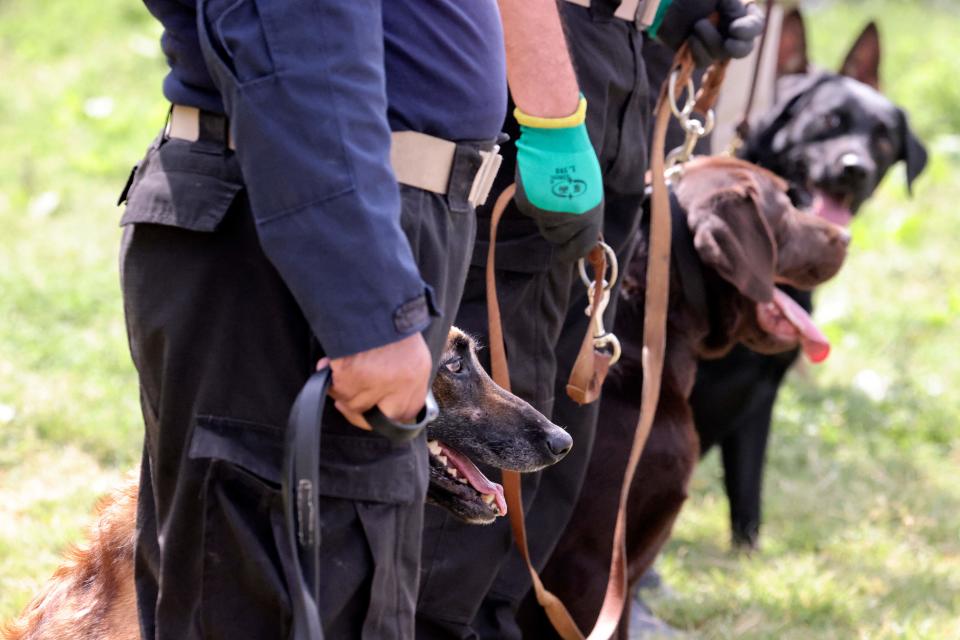 <p>Por su parte el Pentágono ha negado que el personal militar estadounidense haya dejado a algunos de sus perros en el aeropuerto. (Photo by KARIM SAHIB/AFP via Getty Images)</p> 