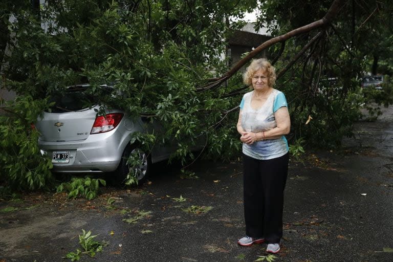 Josefina Sivale, de 82 años, dueña del Chevrolet que está debajo del árbol