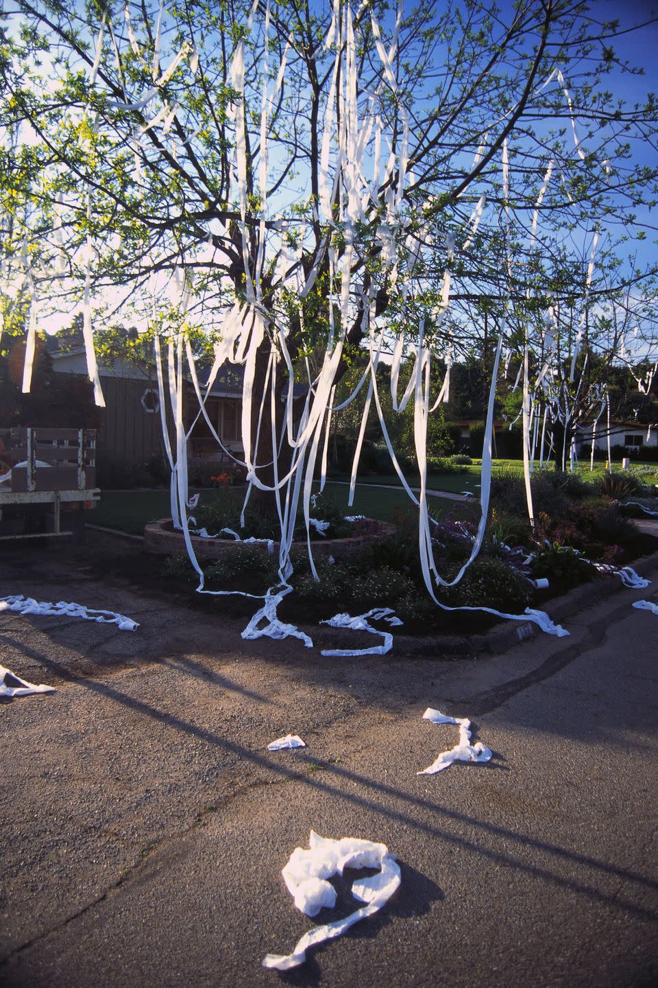 toilet papered suburban house