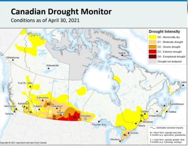 Canadian Drought Monitor shows drought levels across Saskatchewan.