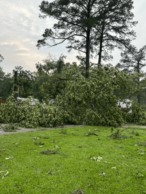 Storm damage in Frankston on Tuesday morning