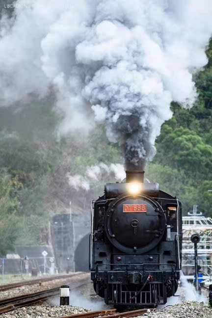 鐵定到來！2021「仲夏寶島號」開賣