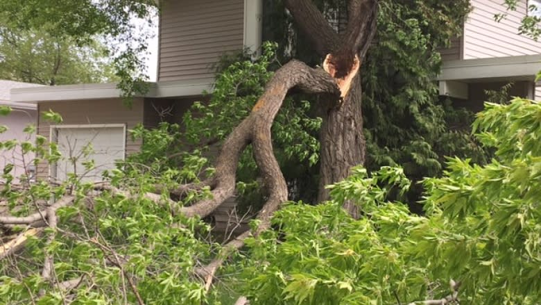 Hold onto your hats: Sask. windier than usual this summer