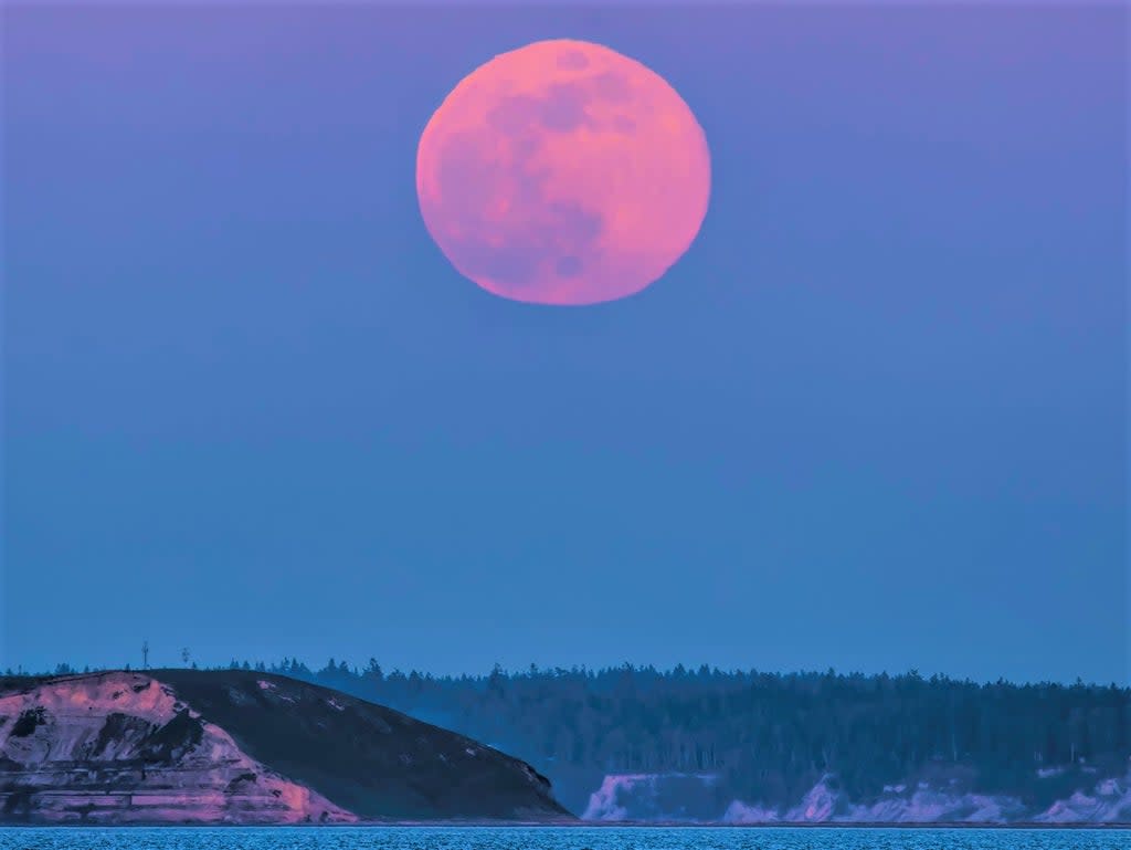 Pink supermoon rising over Protection Island Puget Sound, Strati of Juan de Fuca. This month’s full moon falls on 16 April, 2022  (Getty Images/iStockphoto)