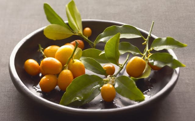 Kumquats