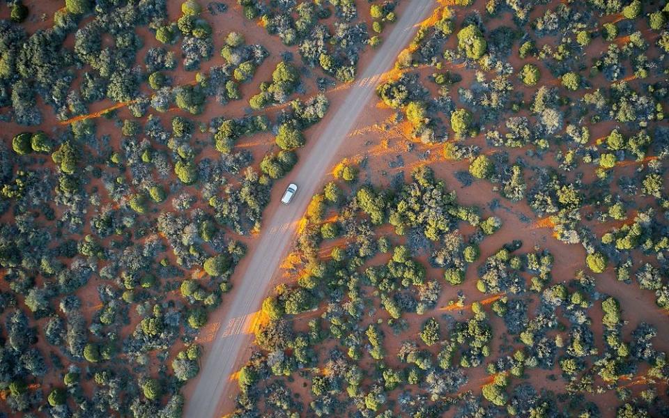 A shrub-lined road near Shark Bay. | Sean Fennessy