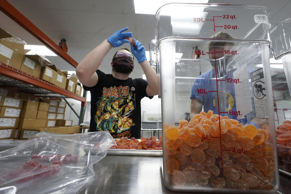 Bill Mathis inspects THC gummy edibles in Hazel Park, Mich., Thursday, April 29, 2021. A former teacher, Mathis has taken a new job in Michigan’s newly legalized cannabis industry. The pay is better, the hours more regular, the stress less, he says. No longer does he worry that he’ll catch COVID-19. (AP Photo/Paul Sancya)