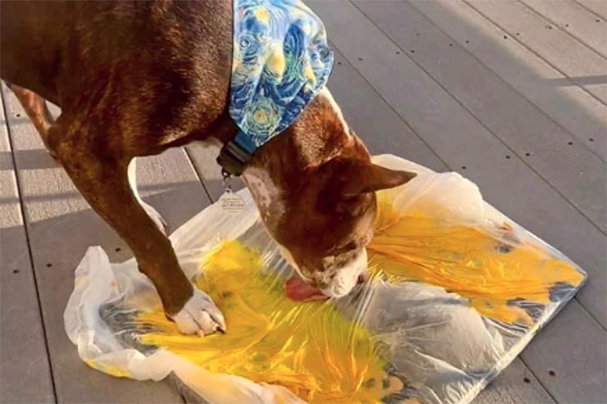 Van Gogh, the dog, creating a masterpiece paining outdoors on his deck