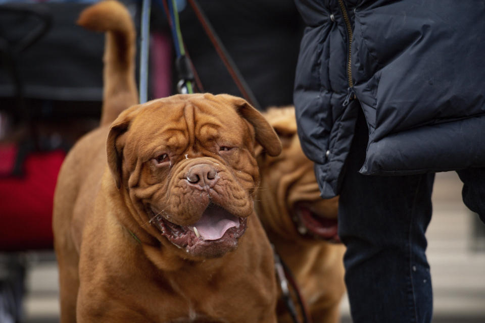 (Press Association via AP Images)