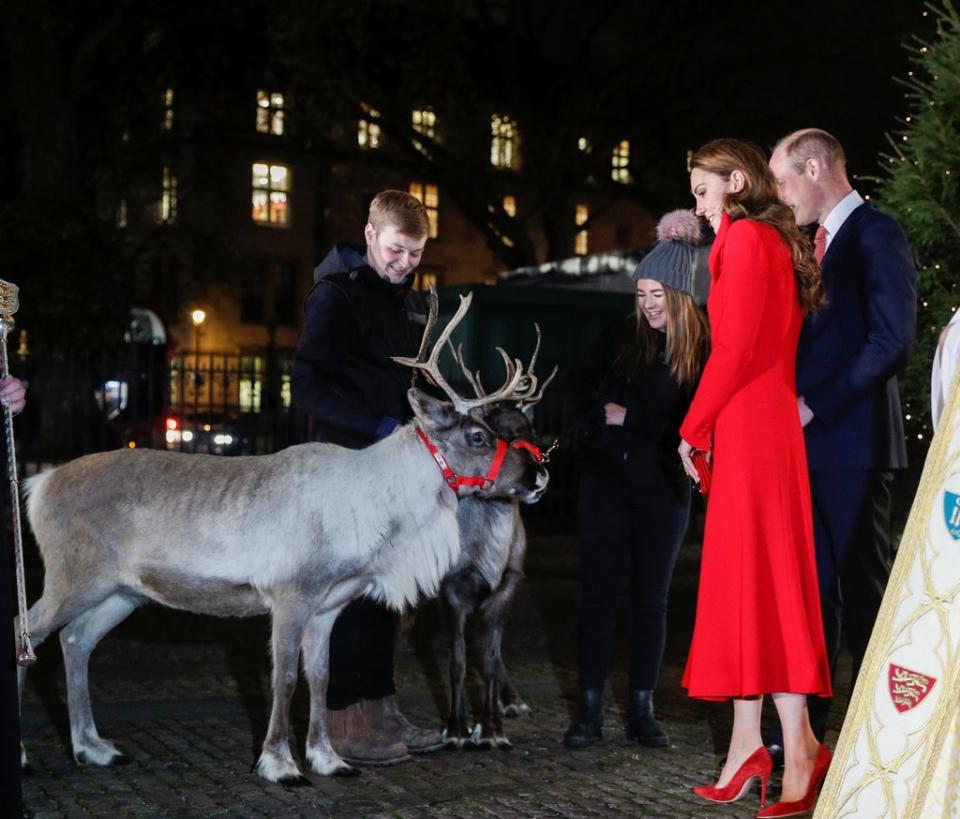 Prince William and the Duchess of Cambridge meet a different (rein)deer   (REUTERS)
