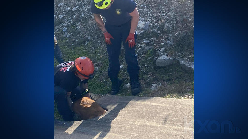 Fire crews rescue dog from a culvert. (Courtesy: Lake Travis Fire and Rescue Facebook Page)