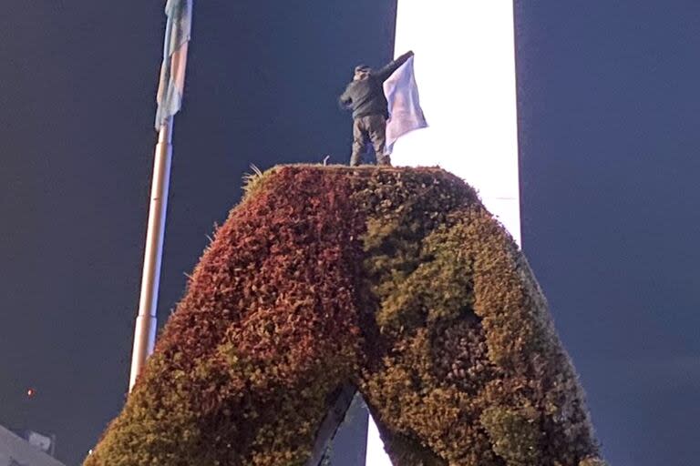 El joven sobre el Jardín vertical, anoche