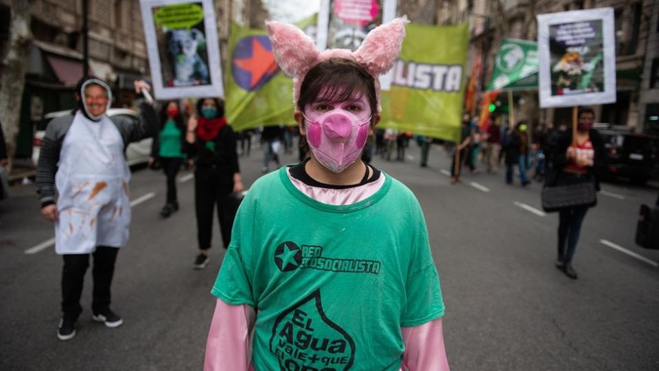 阿根廷多個城市去年曾爆發反對與中國簽訂豬肉生產協議的抗議。