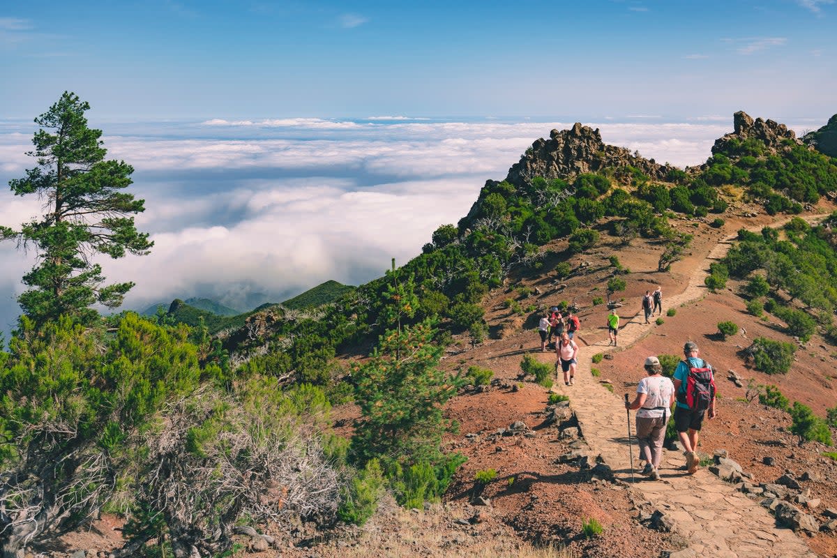 Follow Madeira’s winding levadas on the North Coast path to Porto da Cruz (Getty Images)