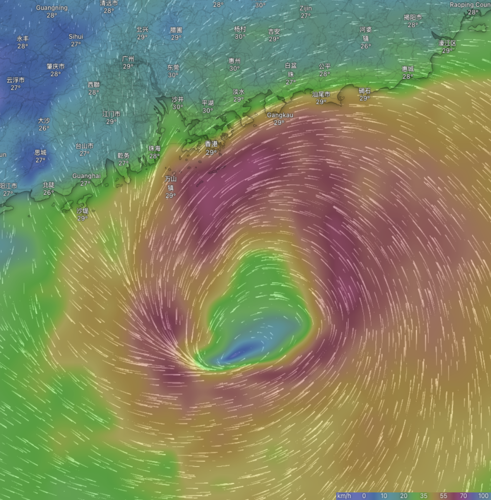 歐洲中期天氣預報中心，預測香港時間 2023 年 7 月 16 日晚上 7 時風場圖數據。擷取時間：香港時間 2023 年 7 月 14 日早上 9 時。（Windy.com 截圖）