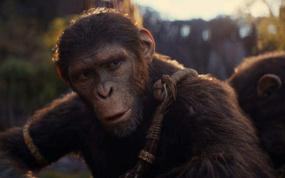 Noa findet es nicht richtig, wie die Affen mit den Menschen umgehen. (Bild: 20th Century Studios/Disney)