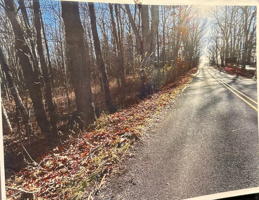 Kent County Sheriff's Office crime scene photos from the investigation into the Nov. 23, 2023, crash on Jericho Avenue that killed Neveah Downs.