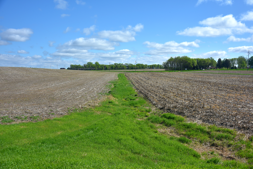 While it might be hard to discern, a 3-foot slope covered in grass separates two soybean fields that were once connected. Soil erosion caused by nearly a century of intense tilling led this strip of earth to dip and become untenable for farming.