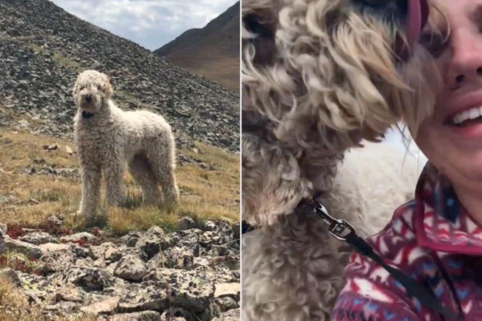 <p>TikTok.com/@heyasammy</p> Bentley on mountain (L), Bentley gives Samantha kisses as they