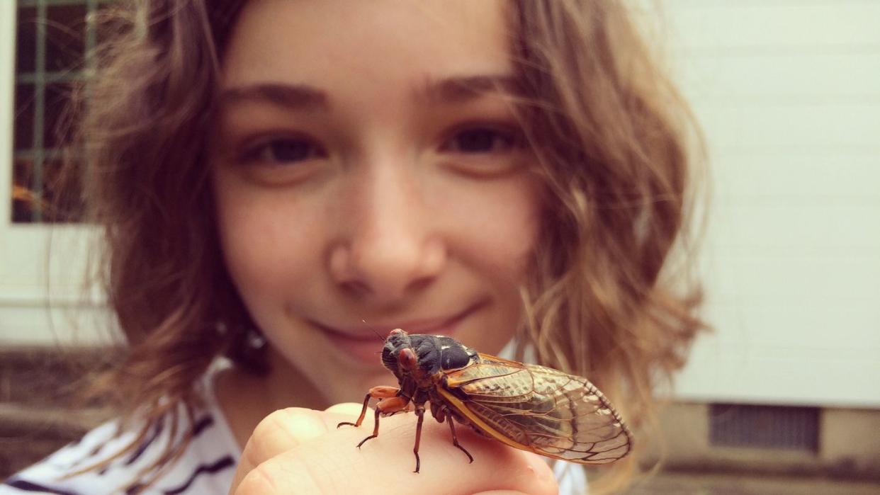 girl studying cicada