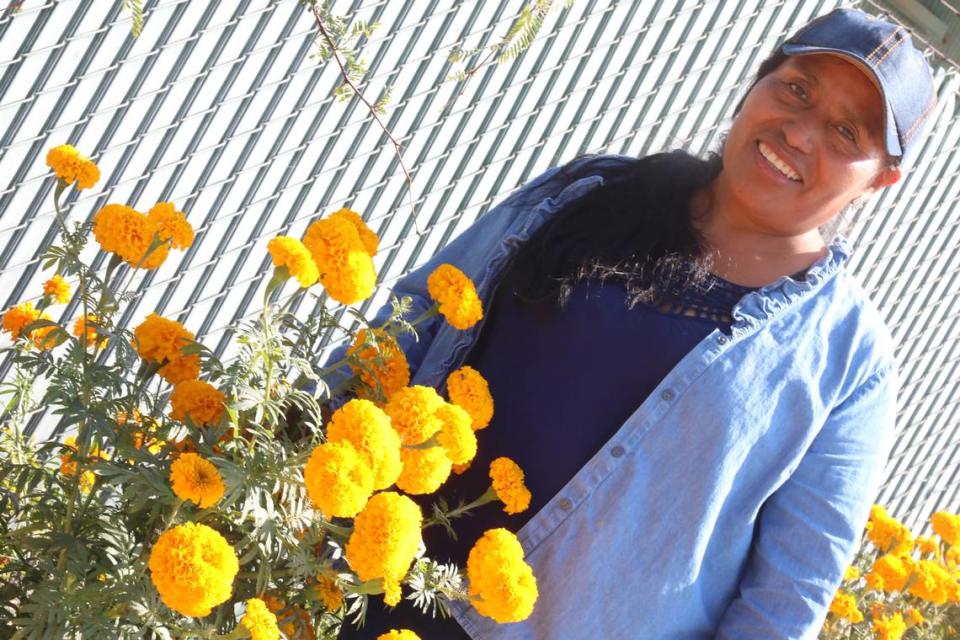 Margarita Amador, quien es originaria del estado de Oaxaca, México, ha estado cultivando cempasúchil en el patio de su casa por los últimos cinco años en Fresno. Una de las cosas que Amador le gusta de la flor es su aroma.