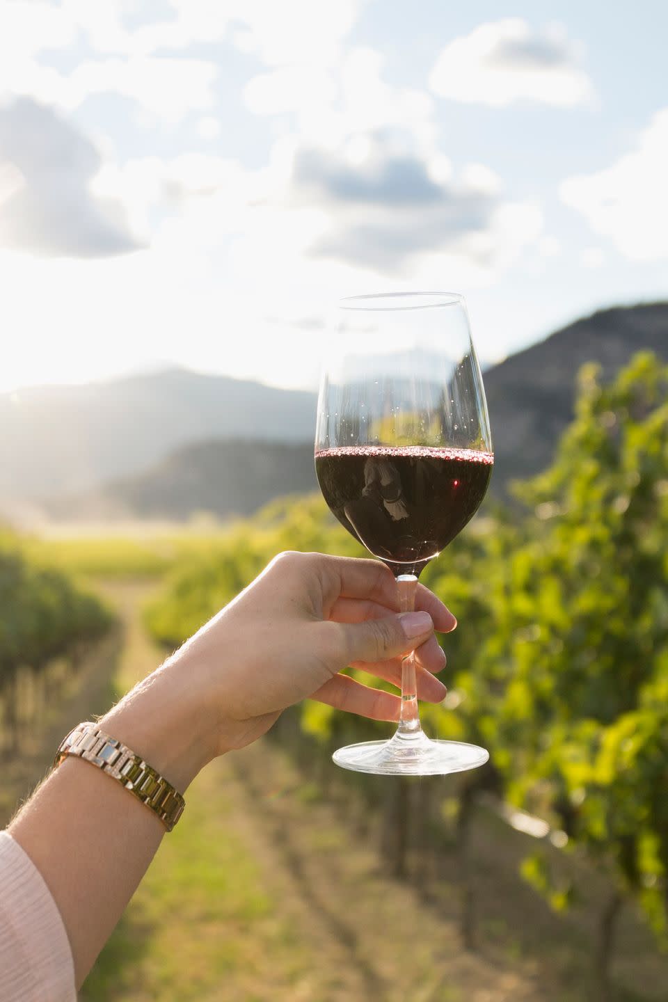 <p>Yup, I hate to break it to you, but red wine is pretty much the worst drink for your skin... </p><p>"Alcohol is a vasodilator, meaning it promotes the opening of blood vessels in the skin, which is how it leads to increased redness. Red wine is one of the worst culprits, as it’s also a histamine releaser which again promotes redness and flushing." Says Dr Sam. </p><p>"This makes it the worst drink, particularly if you're prone to redness or with rosacea."</p>
