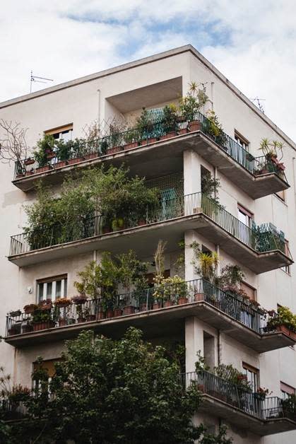 窗戶外種上各式各樣的花草、爬藤植物，它們能適時的幫忙遮蔭隔熱。