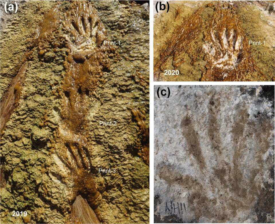 Image: Oldest Art (Zhang et al / Science Bulletin)