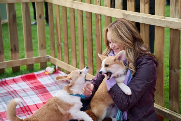 Corgi trainer from Hallmark's Royal Corgi Christmas tells all