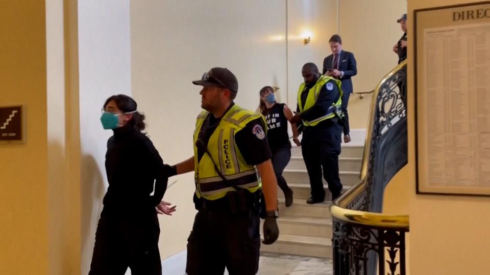 U.S. Capitol Police arrested 305 of pro-Palestinian demonstrators who swarmed a congressional house office building on October 18, 2023 in Washington D.C. Protesters with the group, Jewish Voice for Peace, were detained on Capitol Hill while calling for a cease-fire in Gaza, protesting the Israel-Hamas war.
