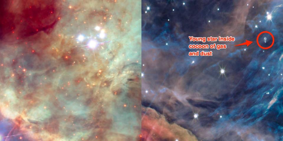 On the left, Hubble's image of the a patch of sky of the Orion nebula is shrouded by dust. On the right, Webb's image cuts through dust and reveals a young star with disk inside its cocoon of gas.