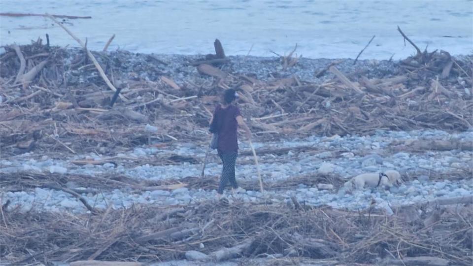 花蓮大量漂流木堆積在海灘　若撿走恐涉侵占罪