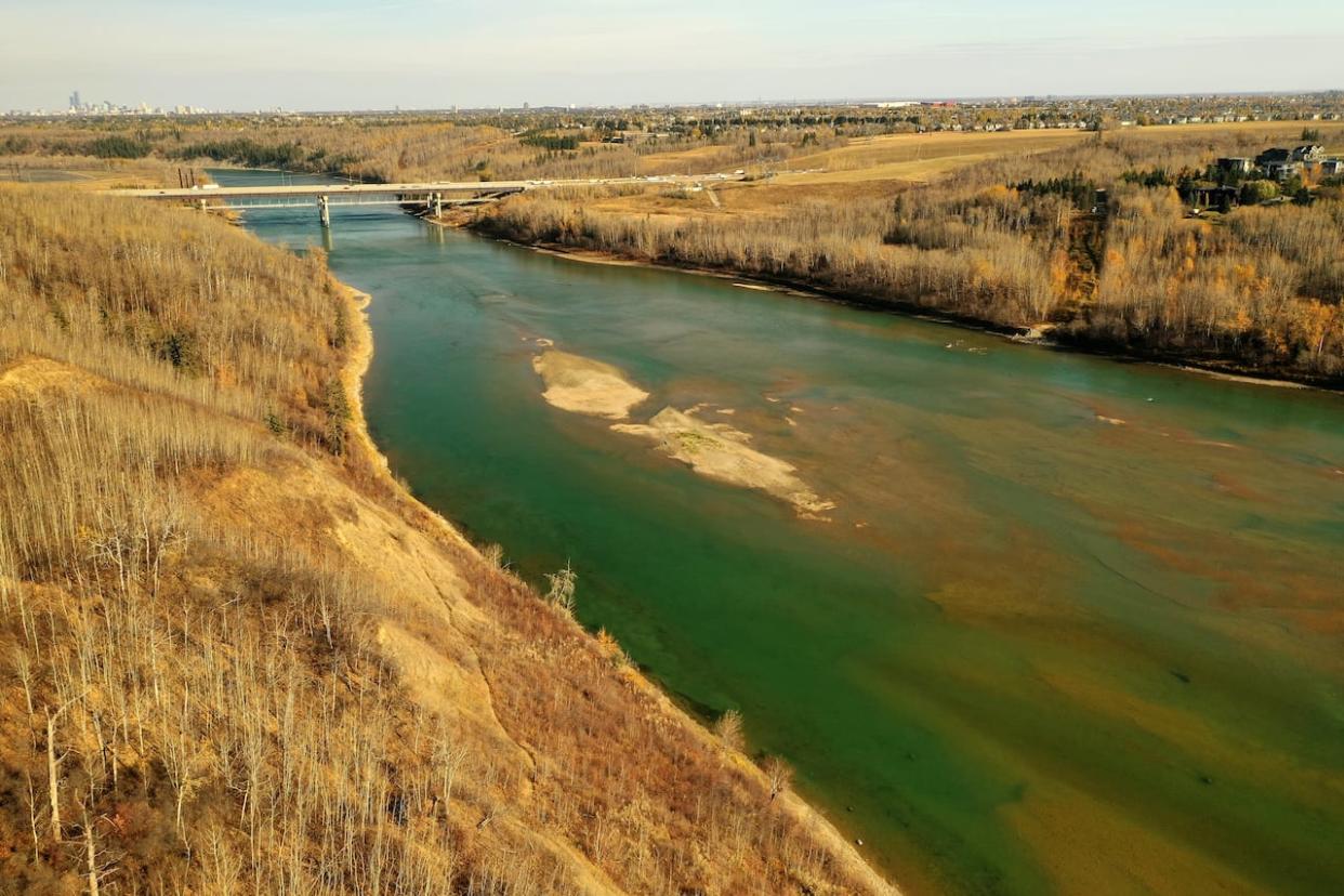 The North Saskatchewan River is shown in southwest Edmonton. (David Bajer/CBC - image credit)