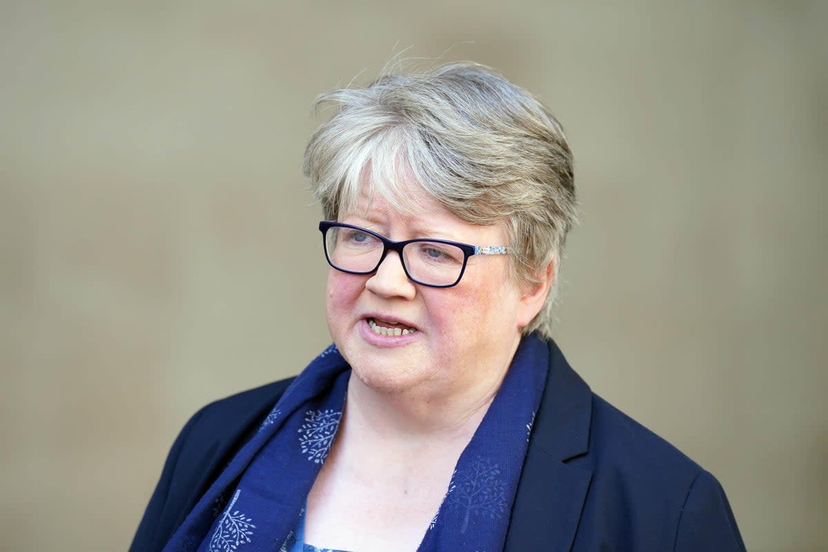 Former environment secretary Therese Coffey gets a damehood (PA Wire)