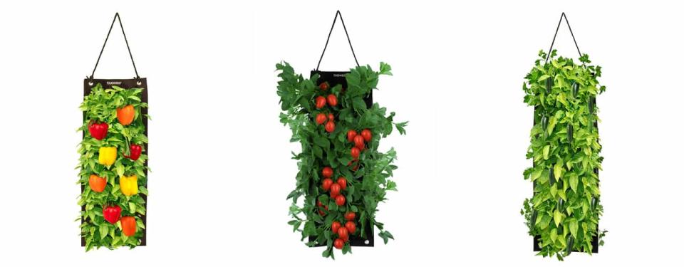 hanging vegetable planters from Wayfair