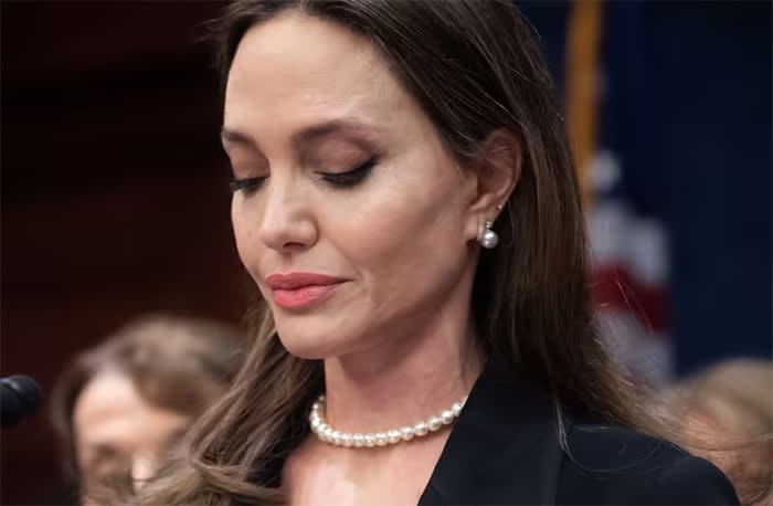 Angelina Jolie le escribió un email a Brad Pitt antes de vender el Chateau Miraval