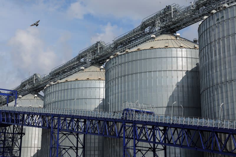 FILE PHOTO: Grain terminal in Baltic port of Vysotsk