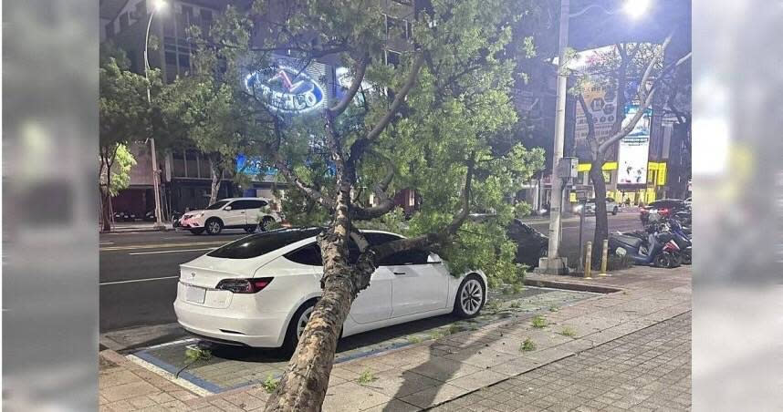 高雄市一名黃姓車主，將車子停放在中山一路六合夜市附近的一處停車格，卻在逛夜市期間得知，愛車被一旁的路樹無預警重砸。（圖／翻攝自「爆廢公社」臉書）