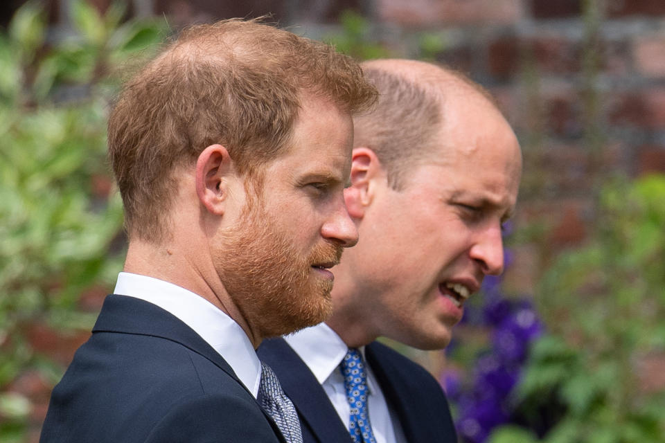 Prince Harry, Duke of Sussex and Prince William, Duke of Cambridge